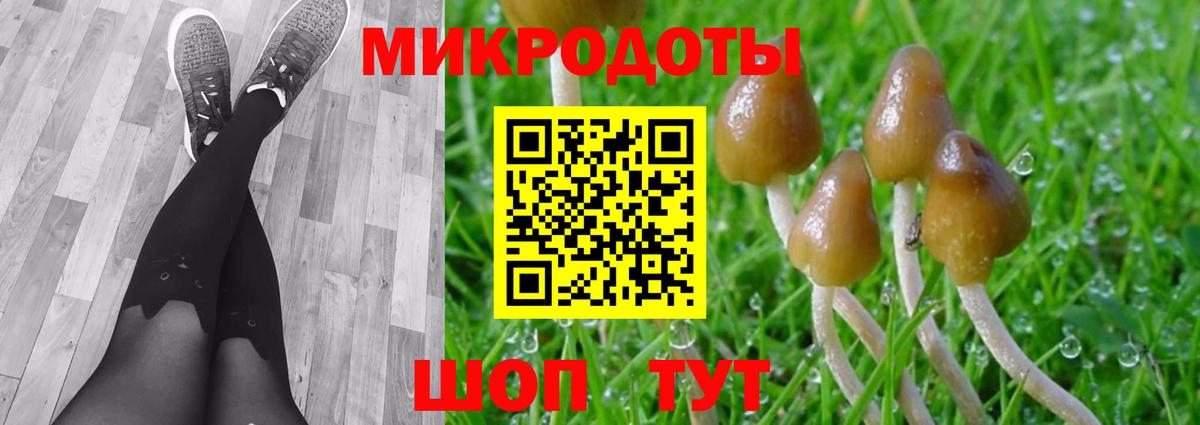 Карачаевск  закладка  Вход с VPN  Псилоцибиновые грибы мухоморы  Галлюциногенные грибы MAGIC MUSHROOMS 